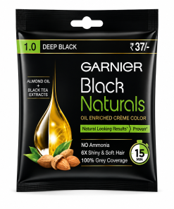 Garnier Black