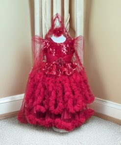 Baby Party Gown Pori Dress
