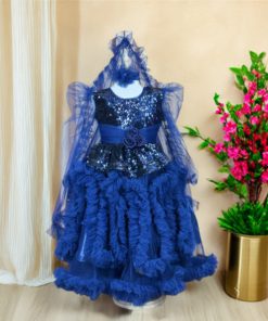 Baby Party Gown Pori Dress