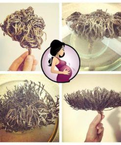 Moriom Flower midium