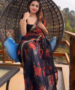 Chanduri Silk Sharee For Women