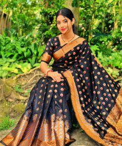 Soft silk katan sharee