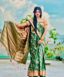 Soft silk katan sharee