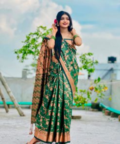 Soft silk katan sharee