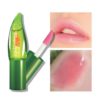 Kiss Beauty Aloe Magic Lip Oil